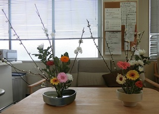 CIMG5187.jpg
