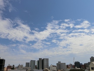 CIMG5826.jpg