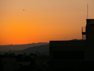 CIMG5979.jpg