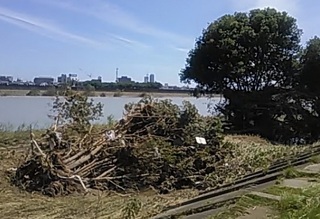 長良川1.JPG