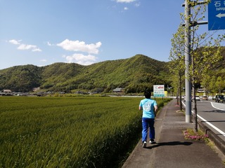 IMG_20200427_141922.jpg