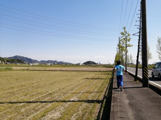 IMG_20200427_142226.jpg