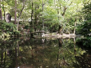 IMG_20200522_145738.jpg