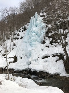 IMG_6788.jpg
