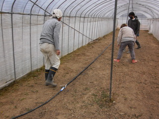 PICT0011.JPG