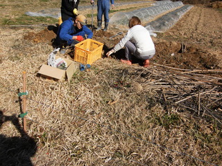 PICT0056.JPG