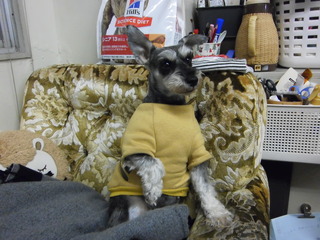 PICT0233.JPG