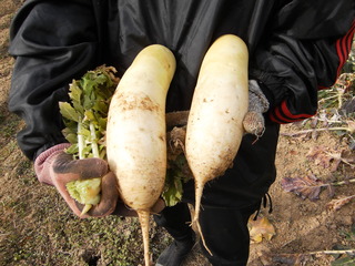 PICT0320.JPG