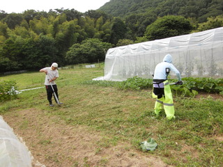 PICT0355.JPG
