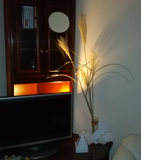 Polish_20200918_151710715.jpg