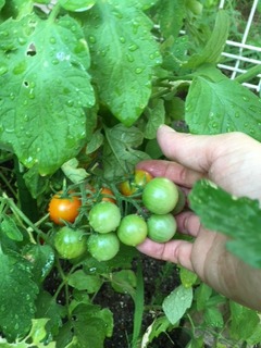 image2.jpeg