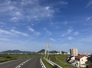 image4 (4).jpeg